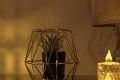Modern Decorative Porcelain Flower Vase Metal Cage with Artificial Plant. 