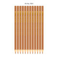 Picasso Checking Pencils Pack of 12 Pencils - Blue Checking - White Pencil-  Red Pencil -Yellow Pencil - Red and Blue Pencil - Set Of 12 High Quality Pencils - Office Stationery - School Stationery. 