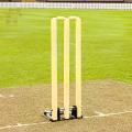 Ball Hitting Wicket For Cricket, 1 Base Stand 2 Bails. 