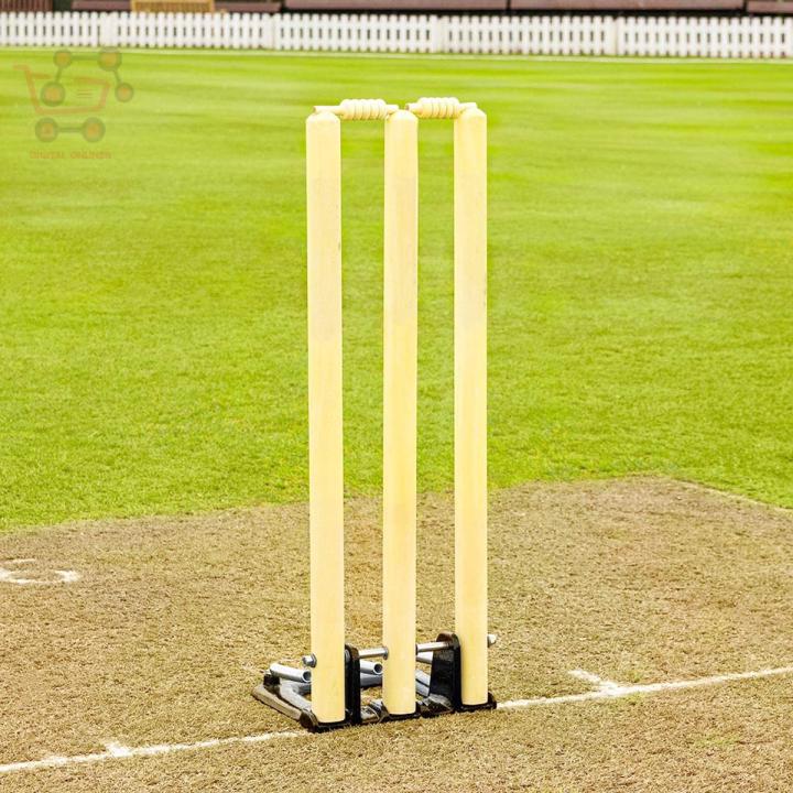 Ball Hitting Wicket For Cricket, 1 Base Stand 2 Bails