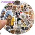Amamia Stationery Stickers Cute Cartoon Cat Stickers Water Bottle DIY Phone Stickers. 