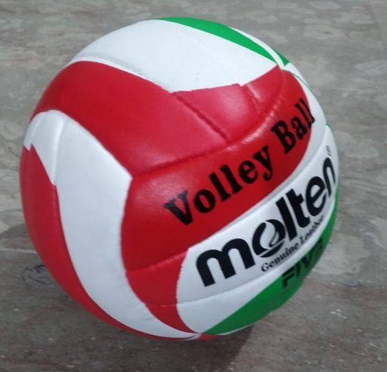 Volleyball%20Playing%20Volley%20ball%20Volleyballs%20Team%20Sports%20-%20Image%206