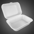 10 Pieces Disposable Thermocool Foam Snack Box for Burger Rice etc. 