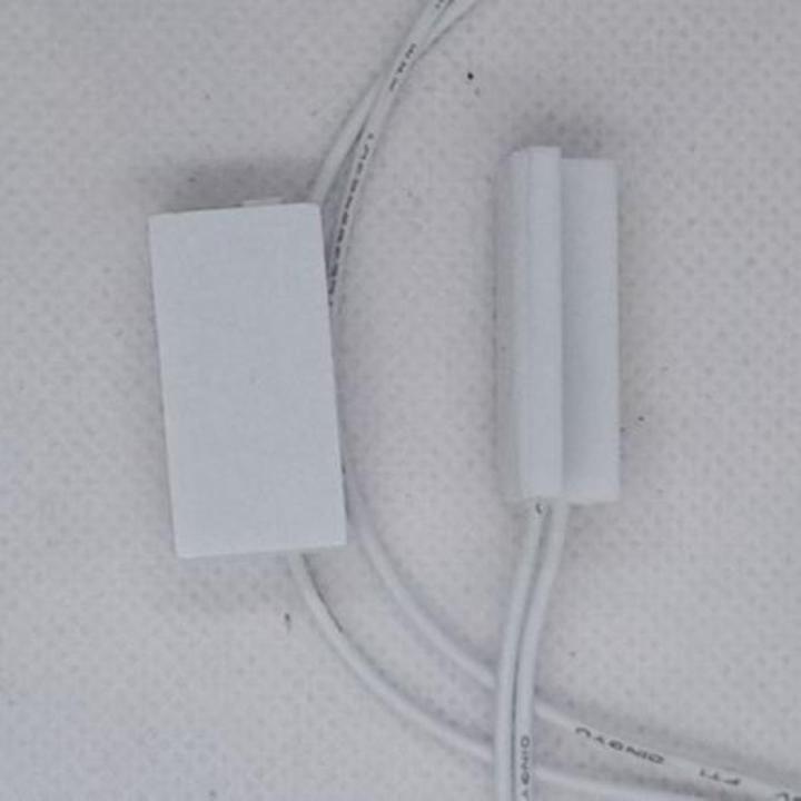 Magnetic door switch