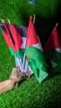 Premium Quality Palestine Flag (3 Pieces) Small Palestine Flag Palestine Gaza Flag Hand Flag Best Quality Flag In Very Low Price Premium Flag. 