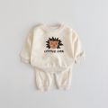 Little lion kids sweatshirt and pants. 