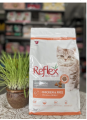 reflex kitten 2kg. 