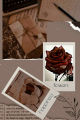 50 Brown  your Design poster Aesthetic Posters Wall Collage Kit--Set of 50 Pictures, 4x6 inch ，These modern wall And Room decore. 