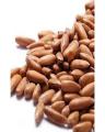 Pine Nuts (chilgoza) - 500 gms. 