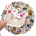 50PCS Cat MEME Funny Animals Stickers Vintage Toy DIY Kids Notebook Luggage Motorcycle Laptop Refrigerator Decals Graffiti. 