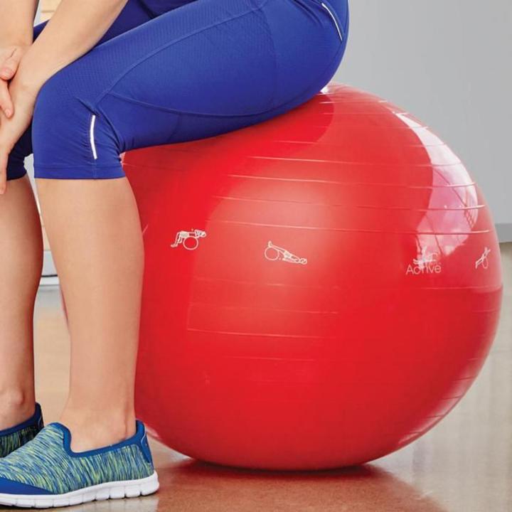 Exercise%20Gym%20Ball%20Exercise%20Ball%20Birthing%20Ball%20Stability%20Balance%20Yoga%20Ball%20for%20Birthing%20&%20Physical%20Therapy%20with%20Quick%20Pump%20Stomach%20and%20Weight%20Loss%20Equipment%20(Office%20&%20Home%20&%20Gym)%20-%20Image%202
