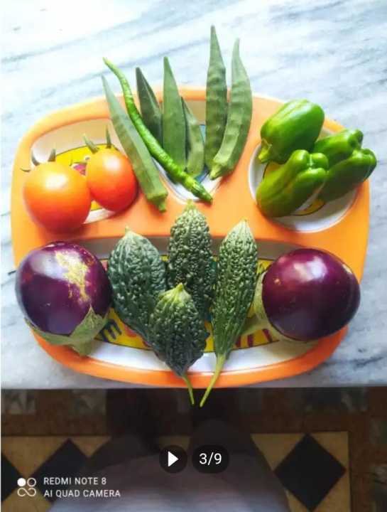 All-in-One%20Gardening%20Kit%20by%20BIGBAGH%20%E2%80%93%20Organic%20&%20Nutrient-Rich%20-%20Image%208