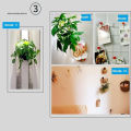 Transparent Traceless Wall Mounted Suction Cup Strong Pull Max 15kg Load Hooks. 