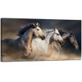 Big size horse wall art frame and picture frame. 