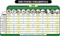 Vitakraft Menu Premium Parrot Food - Vitamin-Fortified - Macaw, Amazon, Conure, and Parrot Food for Large Birds - 500 grams. 