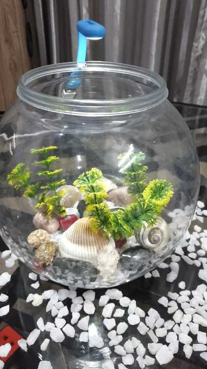 Fishes%20Tank%20Aquatic%20Aquarium%20Home%20Decorative%20Fish%20Bowls%20Table(Large%20Size)%20-%20Image%209