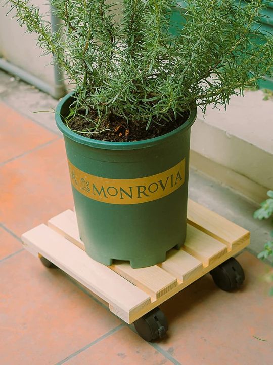 Wooden Plant Roller Stand with Wheel Caddy Planter Trolley 12 inch Square
