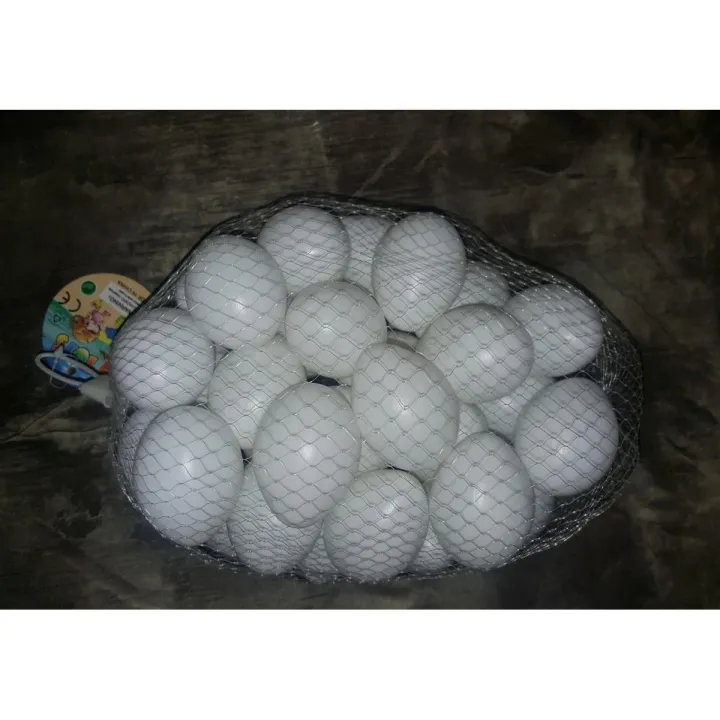 (10/15/24%20Pcs)%20Light%20Weight%20Plastic%20Eggs%20Shell%20for%20Broody%20Hen%20Training%20%20-%20Dummy%20Hollow%20Artificial%20Egg%20Shell%20-%20Image%203