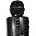 Amplifier Microphone Speaker, Built-in Speaker, Echo Sound for Teaching and Recording. 