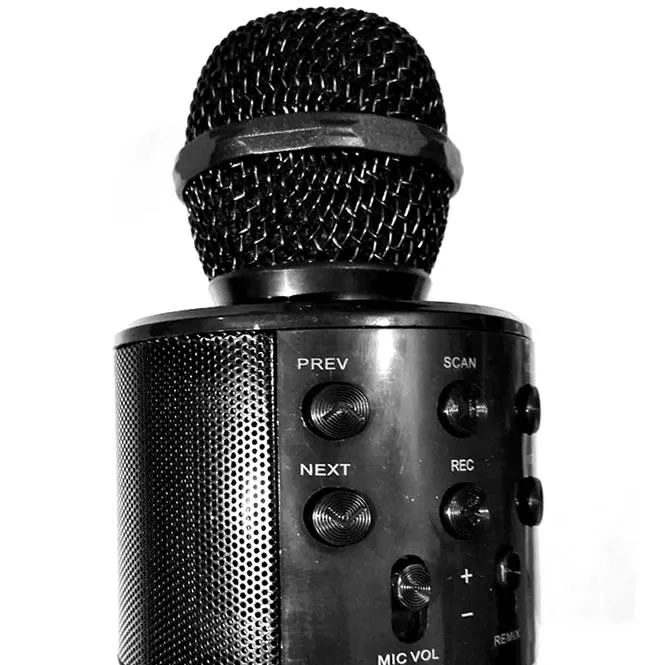 Amplifier%20Microphone%20Speaker,%20Built-in%20Speaker,%20Echo%20Sound%20for%20Teaching%20and%20Recording%20-%20Image%208