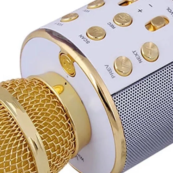 WS858%20Mic%20for%20Kids%20Microphone%20Loud%20Speaker%20for%20Speech%20with%20Echo%20-%20Image%206