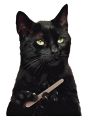 Funny Cat Meme Stickers Pack, Digital Funny Cat Memes, Viral Funny Cats, Laptop Stickers, Mobile Stickers, Decals. Phone Stickers. 