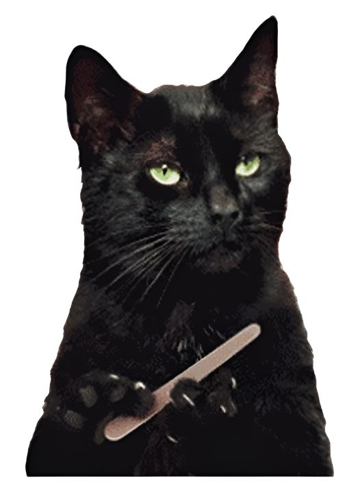 Funny%20Cat%20Meme%20Stickers%20Pack,%20Digital%20Funny%20Cat%20Memes,%20Viral%20Funny%20Cats,%20Laptop%20Stickers,%20Mobile%20Stickers,%20Decals.%20Phone%20Stickers%20-%20Image%205