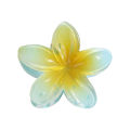 EB Fashionable Women Beach Vacation Egg Flower Hair Clip Bohemia Flower Claw Female Girls Hair Accessories. 