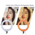(STAND IS NOT INCLUDED) HOLA 26 CM 3 Modes Dimmable Ring Light  Fill Light With Mobile holder live streaming 26CM Light. 