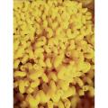 Spring Macaroni Pasta 1Kg. 