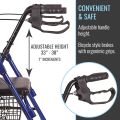 lifecare Enterprises Drive Medical Four Wheel Walker Rollator with Fold Up Removable Back Support,. 