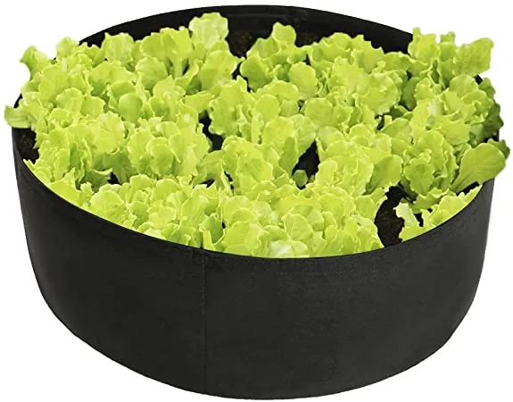 Large%20Fabric%20Grow%20Bag%20%20/%20Plant%20Bag%20/%20Planter/%20Plant%20Pot%20for%20Growing%20Vegetables%20and%20Flowering%20Plants%20-24%20Gallons%20-%2024%20inches%20diameter%20x%2012%20inches%20depth%20-%20Fabric%20Pots%20/%20Fabric%20Grow%20Bags%20for%20Rooftop%20Gardening%20-%20Image%204