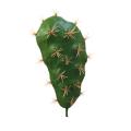 1Pc Foam Artificial Cactus Succulent Plant Bonsai Office Desk Home Party Decor. 