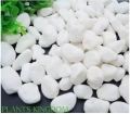 Big white Stone for Garden & Aquarium 1 Kg. 