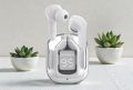 Earbuds – Transparent Bluetooth Earbuds – Wireless Earphones – Ear Buds. 