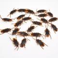 2Pcs Halloween Gadget Plastic Cockroaches Joke Decoration Rubber Toy Gags Practical Jokes Toys Plastic Bugs Cockroach. 