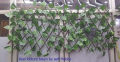 Extension Type Garden Buildings Fence Artificial Green Leaf Branch Bucolic Mula Net Wooden Home Restaurants Wall Decoration. 