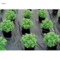 Durable Black Soil Barrier Landscape Fabric with Grid Strips Heavy Duty. 