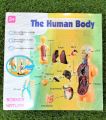 The human body science and nature Educational toy for kids 10 body parts with a stand. 