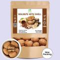 Kaghzi Akhrot / Walnuts with Soft Shell (Kagzi Akhroot ) - 500 Gram. 