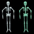 HA Halloween Decoration Halloween Props Luminous Fluorescent Skeleton. 