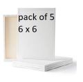 Pack of 5 Canvas for Painting - All sizes For Painting Blank White Canvas - 100% Cotton Art Panels for Oil, Acrylic & Watercolor Paint - Primed Canvas. 