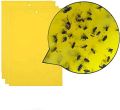 Yellow Signs, Yellow Stickers, Sticky Insect Traps, Fly Trap, Yellow Trap, Professional Yellow Sticker Yellow Sticky Paper for Whiteflies and Aphids, Leaf Mountainman. 