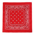 Fashion Hip Hop Bandana Kerchief Unisex Black Hair Band Neck Scarf Headwear Wrist Wraps Head Square Scarves Print Handkerchief. 