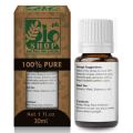 Bio Shop™   GREEN APPLE -  100% Pure. 