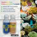 PH up PH down kit General Hydroponics (USA IMPORTED) 100ml each bottle. 