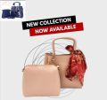 Mahnoor Fashion Beautiful and Elegant hand bag with short pouch for ladies. 