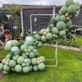 35 pcs 9 inch foji Green Latex Balloons without shinny for Birthday Party Graduation Baby Shower Wedding Decoration Olive Green Party Balloon. 