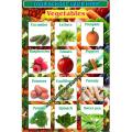 English No.6315 - Vegetables Vegetable Name English - Chart Graphics Flex sheet Panaflex Penaflex pana pena flex for Learning Education and Decoration of Class Room of School and College with customise Your School and Teacher Name. 