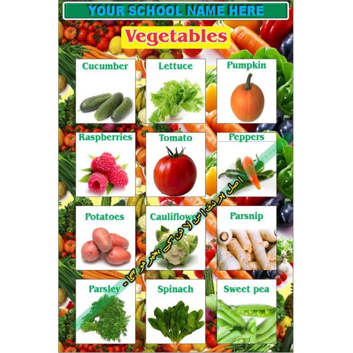 English No.6315 - Vegetables Vegetable Name English - Chart Graphics Flex sheet Panaflex Penaflex pana pena flex for Learning Education and Decoration of Class Room of School and College with customise Your School and Teacher Name